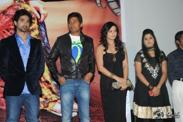 Cut Chesthe Movie Audio Launch